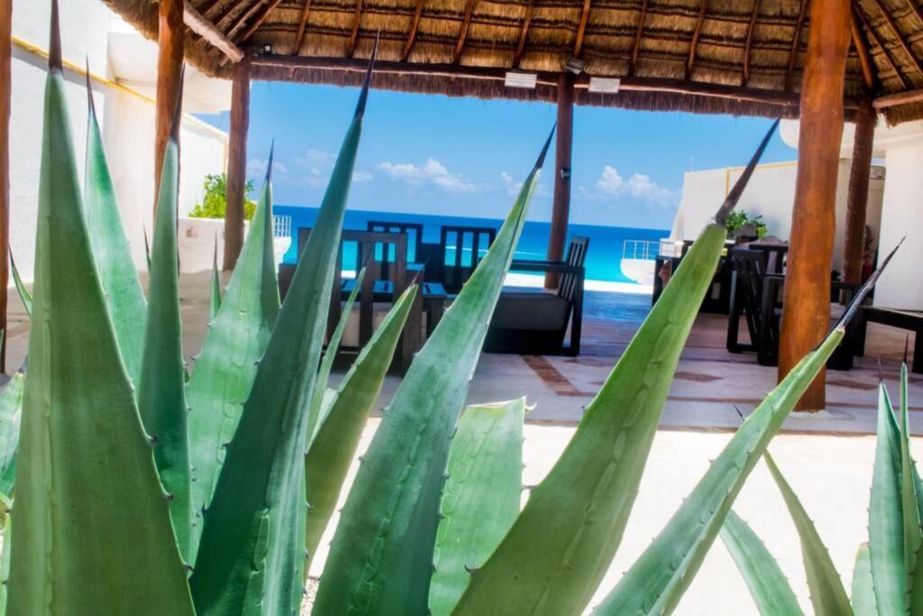 Villas Marlin 108, A Pie De Playa, Albercas, Jacuzi, Ubicacion Inmejorable Cancun Ngoại thất bức ảnh